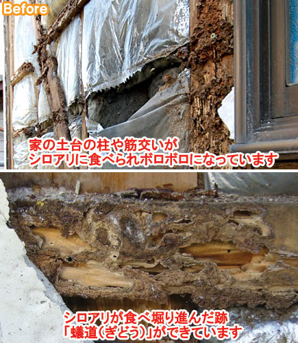 築35年のお宅がシロアリ被害に しっかり修理して大地震に強い家 神奈川県茅ヶ崎市施工事例 一戸建て シロアリ被害 耐震補強 リフォーム事例 Lixilリフォームネット