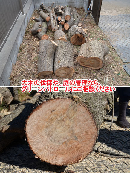 庭の大きな木を切る 近所迷惑な大きな木 管理できない庭はご相談ください 神奈川県藤沢市施工事例 一戸建て 大きな木を切る 大木の伐採 庭管理 リフォーム事例 Lixilリフォームネット