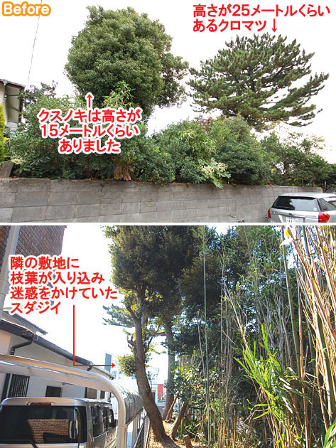 庭の大きな木を切る 近所迷惑な大きな木 管理できない庭はご相談ください 神奈川県藤沢市施工事例 一戸建て 大きな木を切る 大木の伐採 庭管理 リフォーム事例 Lixilリフォームネット